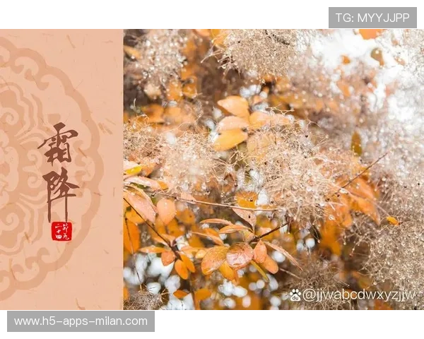 冬窗风向已初显端倪