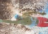 世界登山青年导师生态课堂示范学校第三批名单公布，2020登山大赛