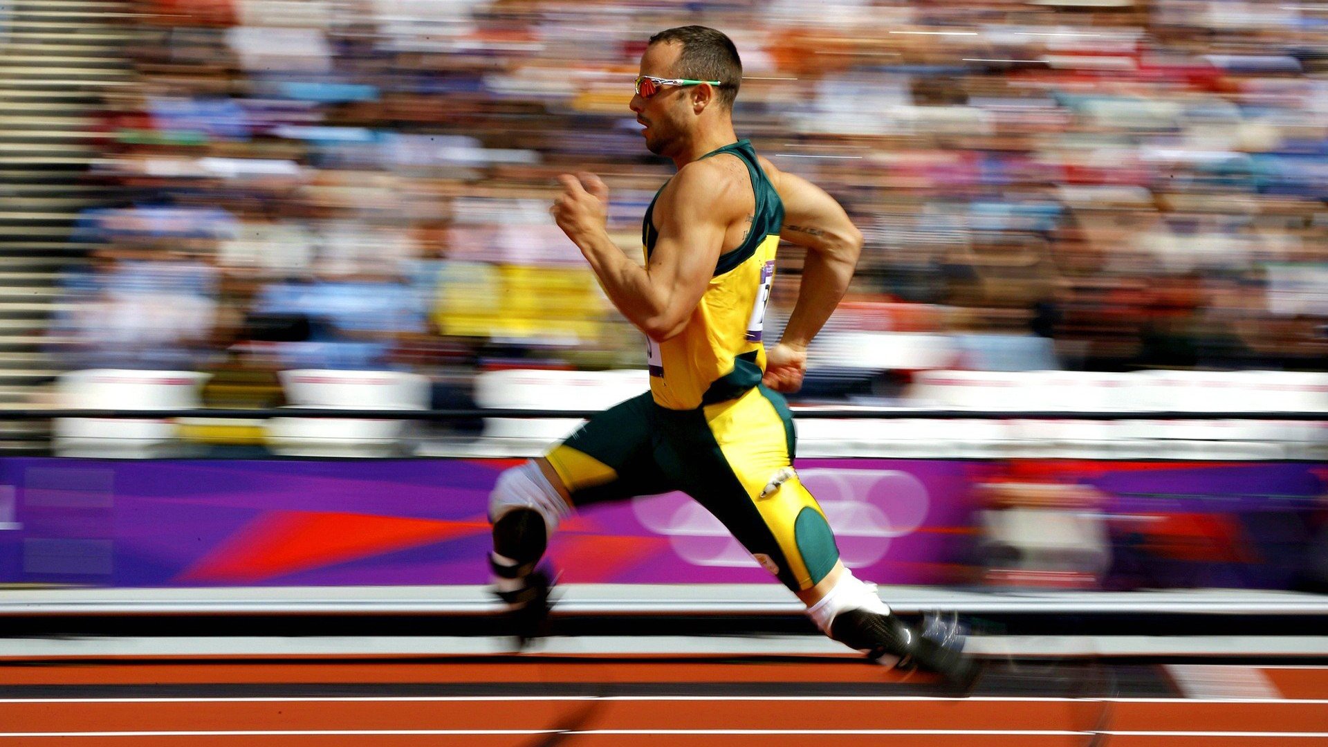 “绿色场馆”成为今年国际足球新关键词，环保标准逐步提升