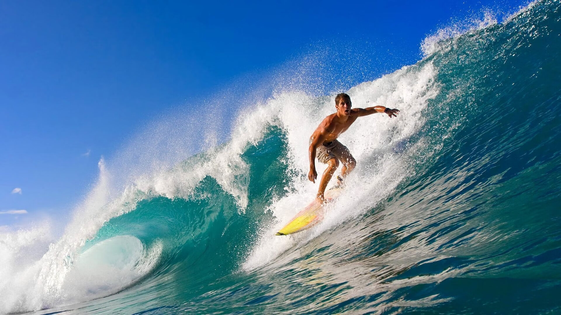 “美洲狮队再度登顶，阿根廷橄榄球未来光明”