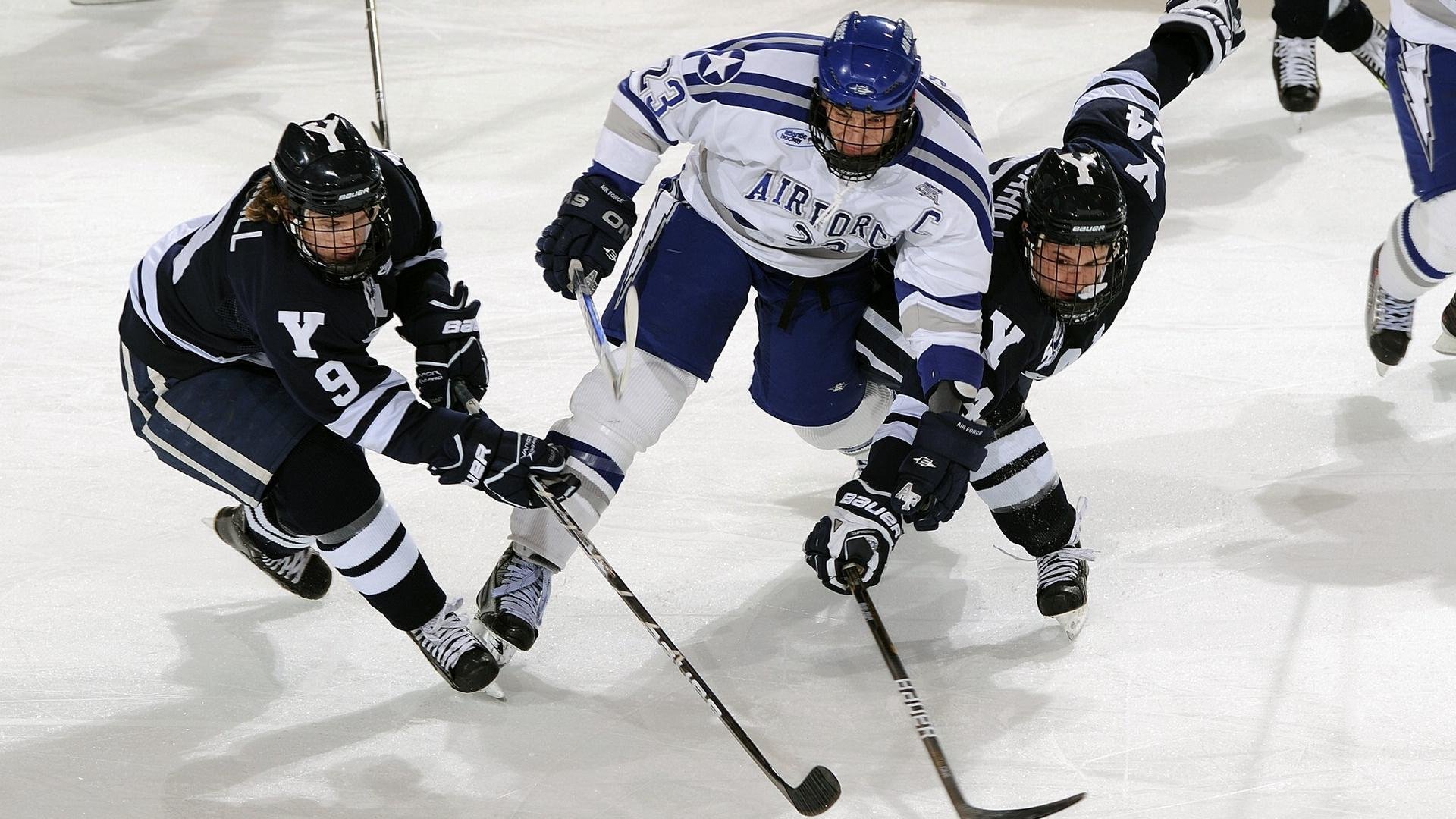 体育场馆绿色节能技术，绿色体育馆的奇特之处