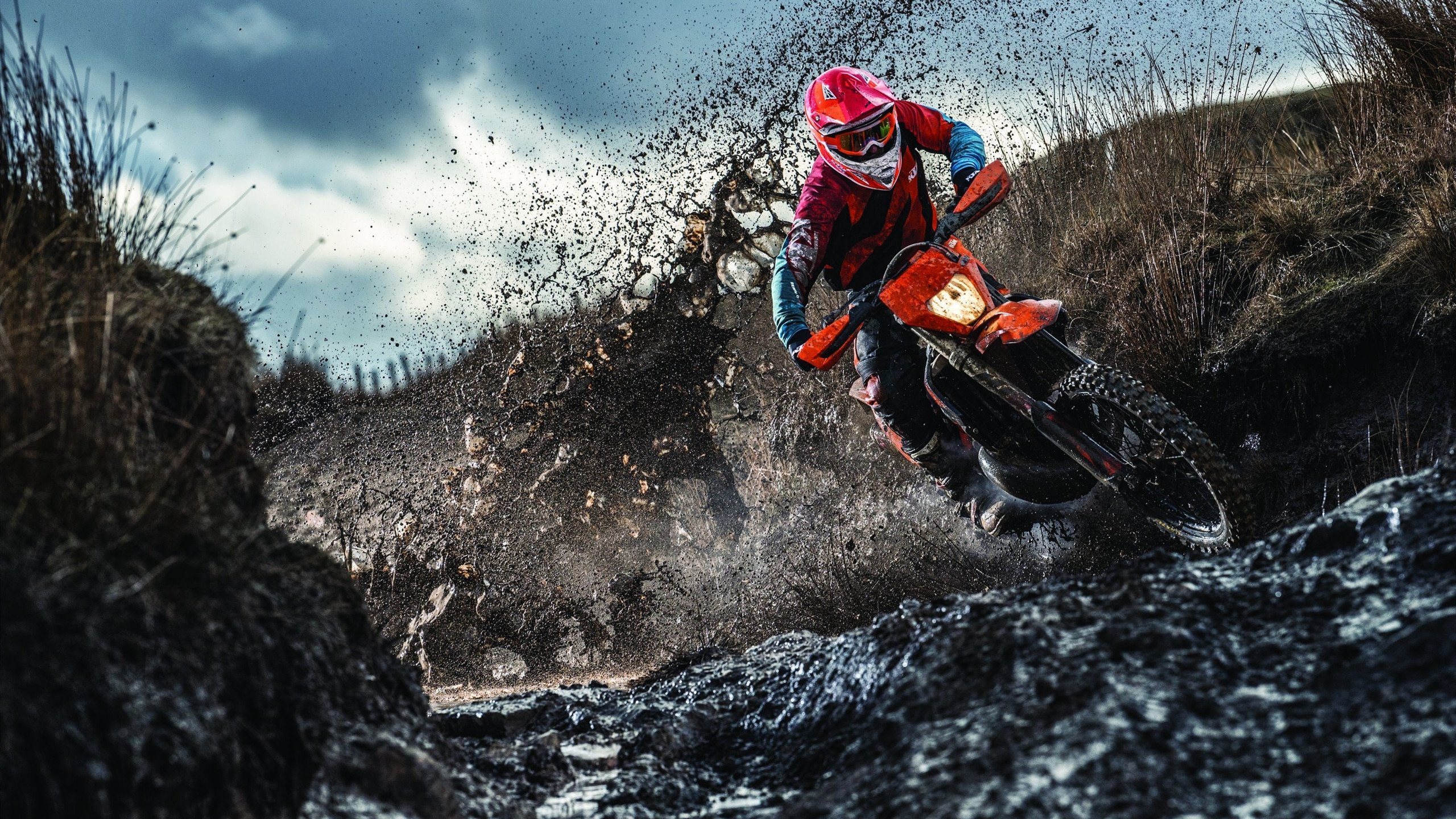 体育明星跨界参与综艺热度不减，体育明星专访